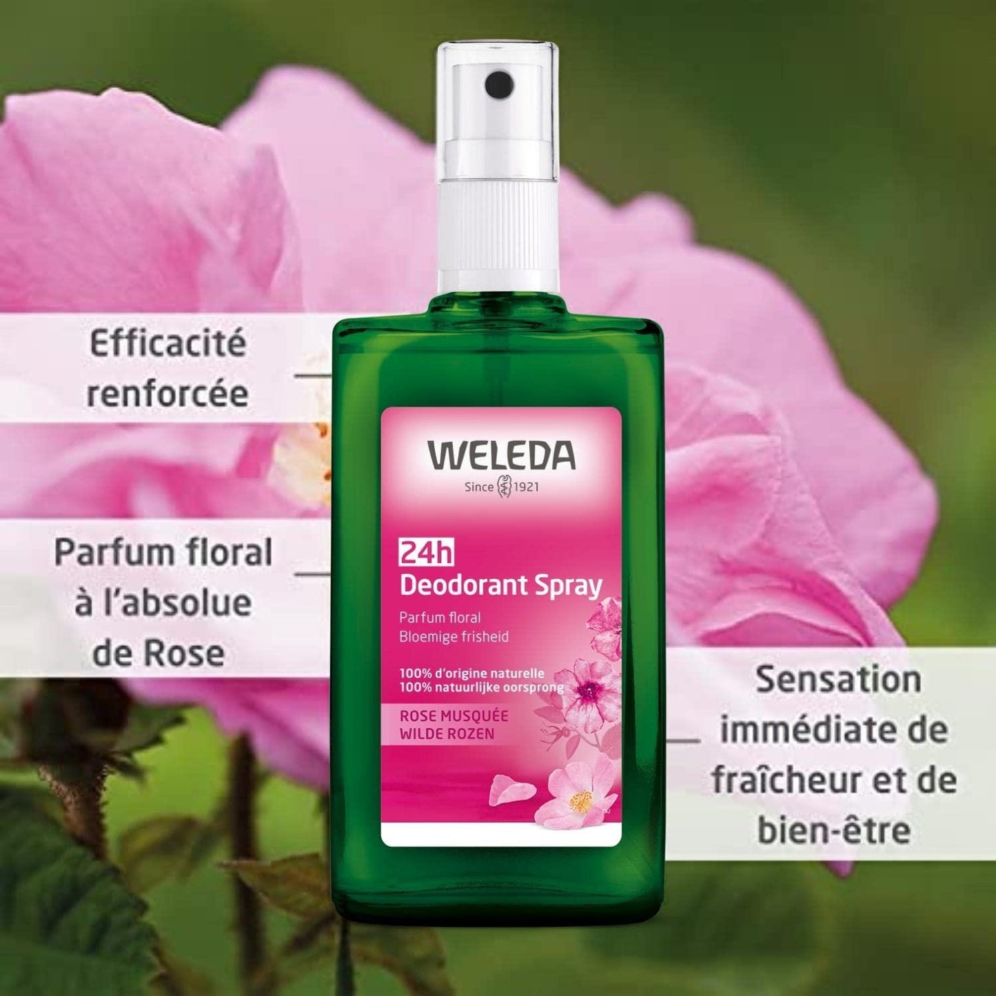 Weleda Wild Rose deodorant spray in 3.4 oz bottle, with pink floral packaging, natural deodorant for women.