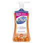 Dial Complete Sea Berries antibacterial foaming hand wash in 7.5 oz pump bottle, with Omega moisture, from Pasteur Pharmacy.