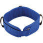Blue Nova Heavy Duty Gait Belt, 36-inch, made by Pasteur Pharmacy, designed for secure patient support and mobility assistance.