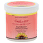 Jane Carter Solution Curls To Go! Curl Drench Cleansing Co-Wash 16 Oz for curly hair, gentle cleansing and moisturizing hair care.