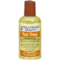 Pasteur Pharmacy Hollywood Beauty Tea Tree Oil hair and scalp treatment in a 2 fl oz bottle, used for nourishing skin and scalp.