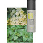 KMS California HairPlay Molding Paste in a 3.3 oz container, ideal for flexible hair styling and texture.