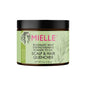 Mielle Rosemary Mint Pomade-to-Oil Hair Quencher in 5 oz jar, natural hair styling product for scalp and hair hydration