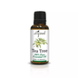 Difeel 100% pure tea tree oil in a 1-ounce bottle, natural health and beauty essential oil for skin and hair care.
