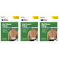 Pasteur Pharmacy GNP Good Neighbor Pharmacy Cold Pain Relief Patches, 5-count, shown on a healthcare setting with patches ready for use.