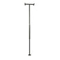 Metallic black Stander Security Pole by Pasteur Pharmacy for healthcare use, designed for stability and support.