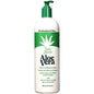 Pasteur Pharmacy Triple Lanolin Aloe Hand and Body Lotion Pump, 20 oz, creamy moisturizer in a white pump bottle.