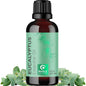 Pure natural eucalyptus essential oil in a 1 fl oz bottle, ideal for massage and relaxation from Pasteur Pharmacy.