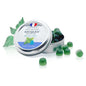 Ricqles Original Strong Mint Lozenges by Pasteur Pharmacy, 45g, featuring green and white packaging with mint lozenges inside.