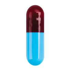 Empty hard gelatin capsules Coni-Snap #3 with maroon body and blue cap for science and laboratory use, 1000 pack.