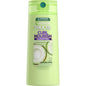 Garnier Fructis Curl Nourish Shampoo bottle with label, featuring curly hair illustrations, on a white background