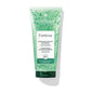 Rene Furterer Forticea strengthening revitalizing shampoo in 200ml bottle, designed to invigorate and strengthen hair.