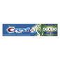 Crest Complete Plus Scope fluoride whitening toothpaste with long-lasting mint flavor, in a tube displayed on a white background.