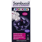 Sambucol Black Elderberry Berry Flavor Kids Syrup in a 4 fl oz bottle, supplement for children's immune support.