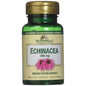 Windmill Echinacea Root 400 Mg capsules, dietary supplement by Pasteur Pharmacy, 60 capsules for immune support.