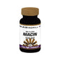 Bottle of Windmill Niacin No-Flush 500mg vitamins and supplements with 60 capsules from Pasteur Pharmacy.