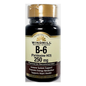 Windmill Vitamin B6 250mg supplement bottles, 60 tablets, in packaging, from Pasteur Pharmacy, within Vitamins & Supplements category.