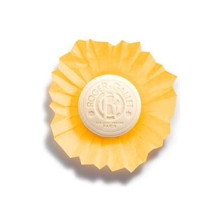 Roger & Gallet Bois D' Orange Wellbeing Soap 3.5 oz, natural orange scent, creamy soap bar with floral and citrus notes.