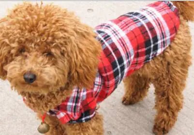 Pet Clothing, Pet Shirt, Checkered Shirt - BACKUPMYFILESNOW