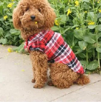 Pet Clothing, Pet Shirt, Checkered Shirt - BACKUPMYFILESNOW