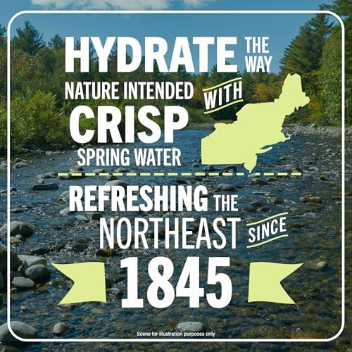 12-pack of Poland Spring Maine Spring Water bottles, 8 oz, crisp still water with naturally balanced minerals and electrolytes.