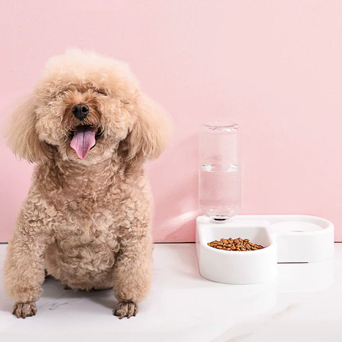 Heart-Shaped Automatic Pet Water Dispenser and Feeder