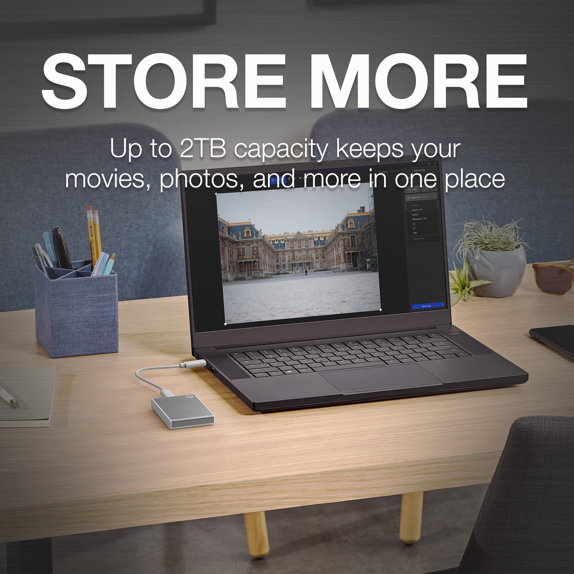 Seagate One Touch SSD 1TB External SSD Portable - Silver, Speeds up to 1030MB/s, with Android App, 1yr Mylio Create, 4mo Adobe Creative Cloud Photography Plan and Rescue Services (STKG1000401) - BACKUPMYFILESNOW