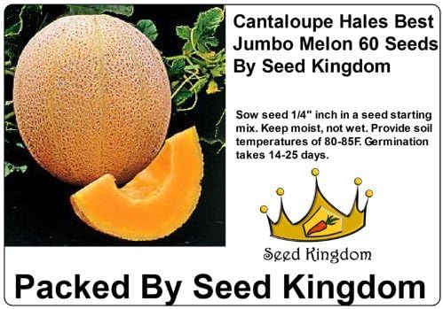 Heirloom cantaloupe Hales Best jumbo melon from Seed Kingdom, fresh ripe orange flesh and green rind, packed with seeds