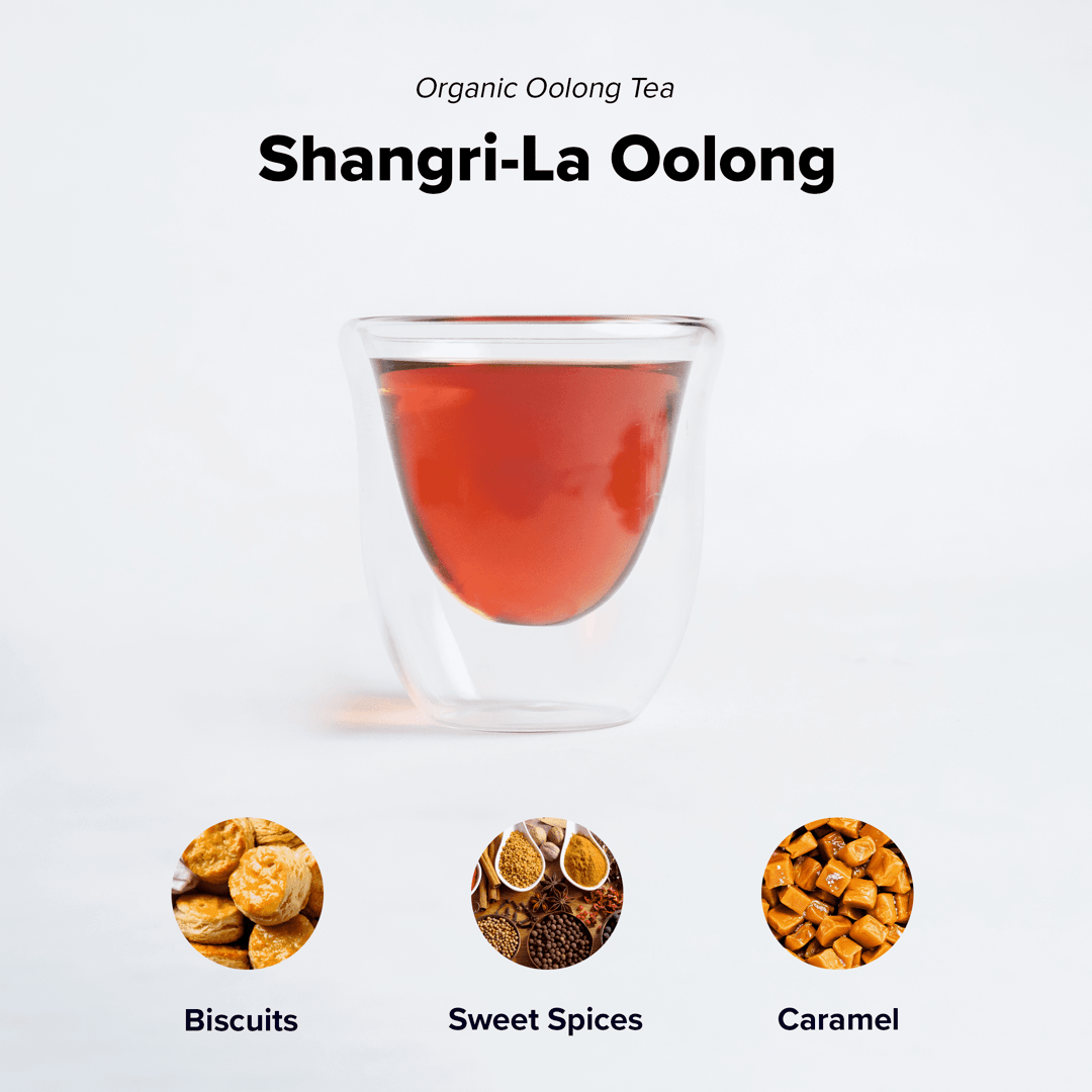 Organic Shangri-La Oolong tea leaves from Nepal Tea in a clear glass jar, showing the tightly rolled dark tea leaves.