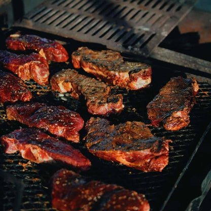 Gustus Vitae Surf & Turf BBQ Seasonings Collection 3-pack featuring gourmet spice blends for grilling and cooking
