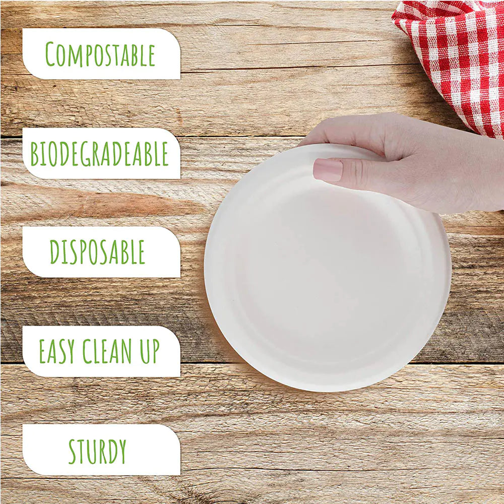 Disposable Paper Plates - Eco-Friendly Dining Solution