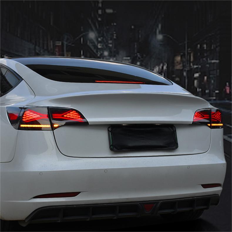 Tesla Model 3/Y TESERY X-treme tail light assembly showing red and clear lens with mounting hardware.