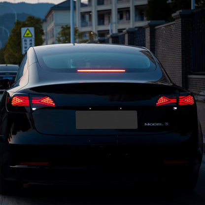 Tesla Model 3/Y TESERY X-treme tail light assembly showing red and clear lens with mounting brackets and wiring.