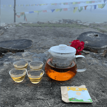 Nepal Tea The Tea Explorer Set bundle with assorted tea packets and accessories, perfect for tea enthusiasts.