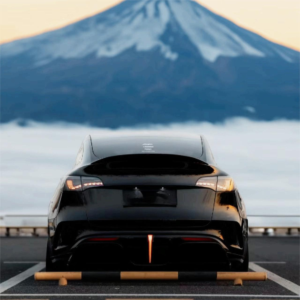 Tesla Model 3/Y Dragon Scale Tail Lights by Tesery Official Store showing sleek, custom LED tail light design on vehicle rear