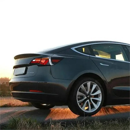 Tesla Model 3/Y Dragon Scale Tail Lights by Tesery, showcasing sleek, illuminated tail light design with distinctive dragon scale pattern.