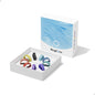 RingConn Gen 2 Air smart ring sizing kit from The Digital Health Store showing the packaging and sizing tools for perfect fit.