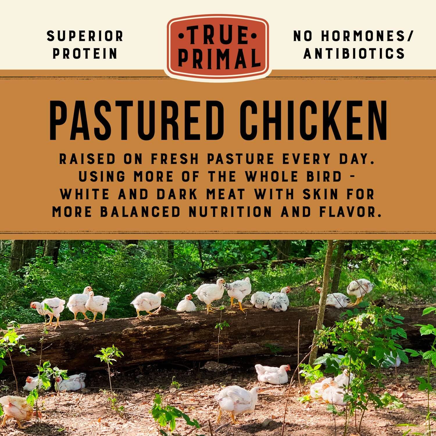 True Primal Roasted Chicken Soup 8 - pack, Ready to eat, Gluten free, Paleo, Pastured chicken, Whole30, AIP, Bone broth - BACKUPMYFILESNOW