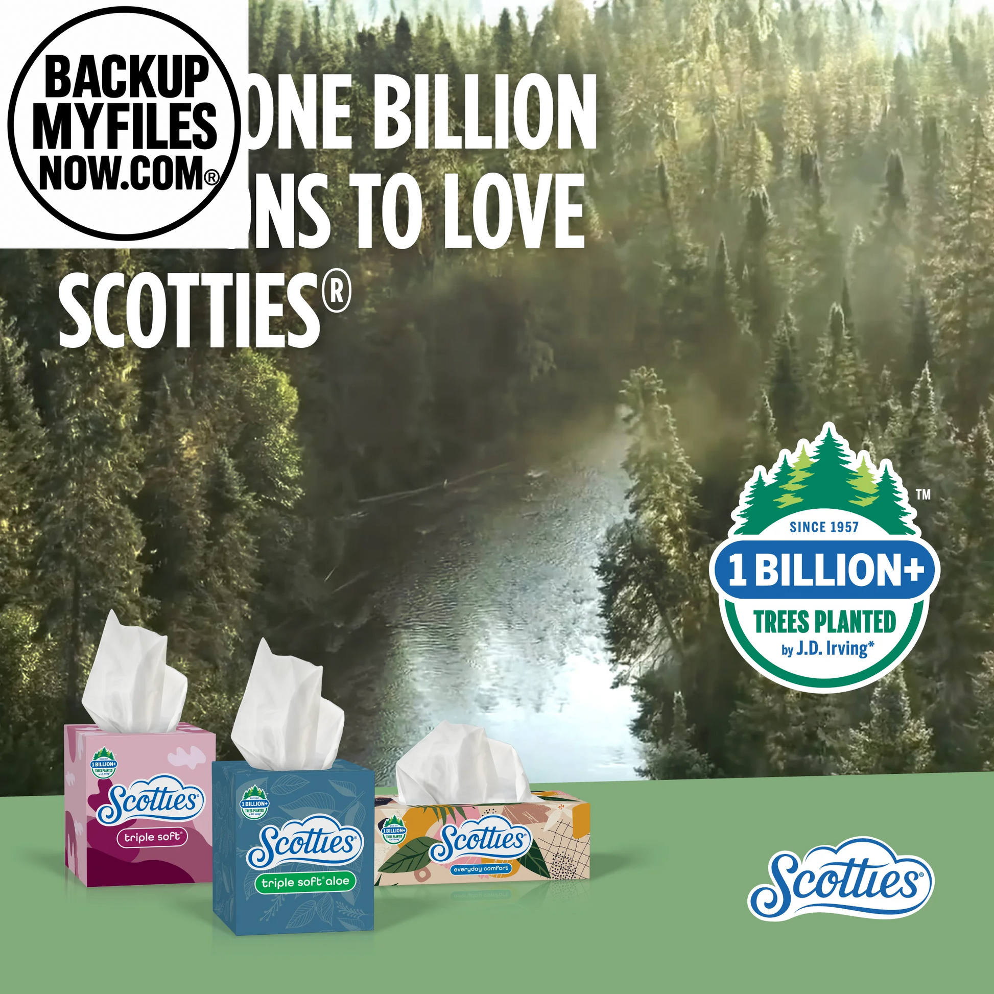 (6 Pack) Scotties Everyday Comfort Facial Tissues 2-Ply Cube Boxes 4 Pack (256 Total Tissues)