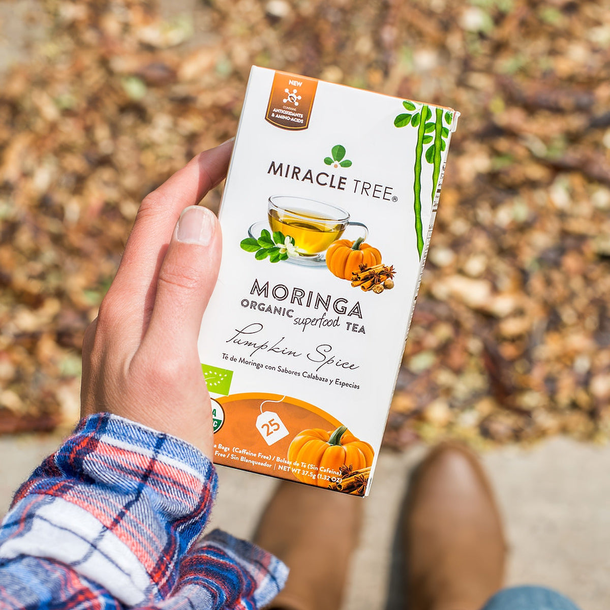 Herbal tea from Miracle Tree featuring organic Moringa and pumpkin spice flavor in a teacup, caffeine-free and aromatic.
