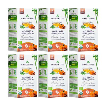 Organic Moringa Tea by Miracle Tree featuring pumpkin spice flavor, caffeine-free herbal tea with dried moringa leaves and spice blend.