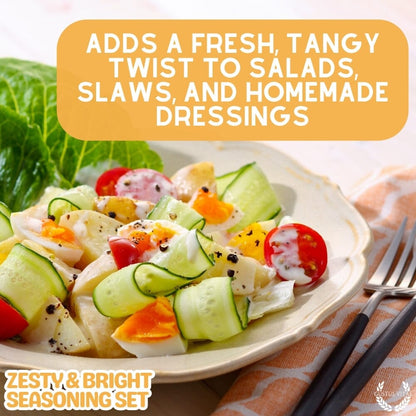 Gustus Vitae Zesty & Bright Seasoning Set with assorted spice blends and gift box for flavorful cooking and gifting.